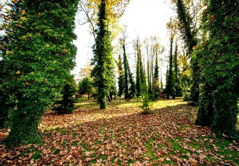 Filyos Ecopark Çaycuma Exterior foto