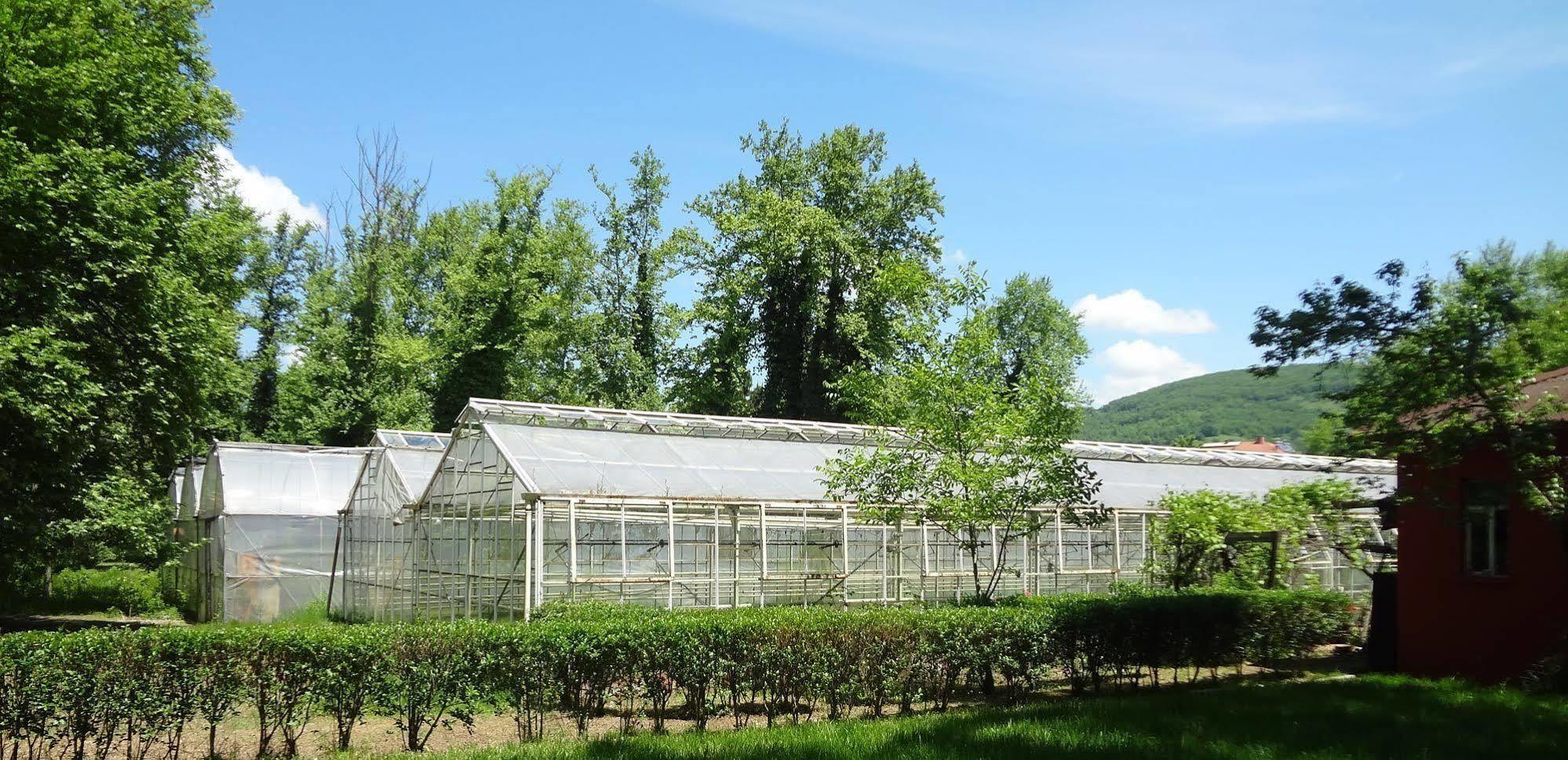 Filyos Ecopark Çaycuma Exterior foto